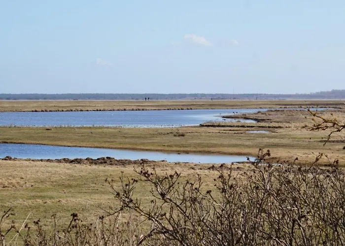 Silke - Auf Hiddensee In Grieben